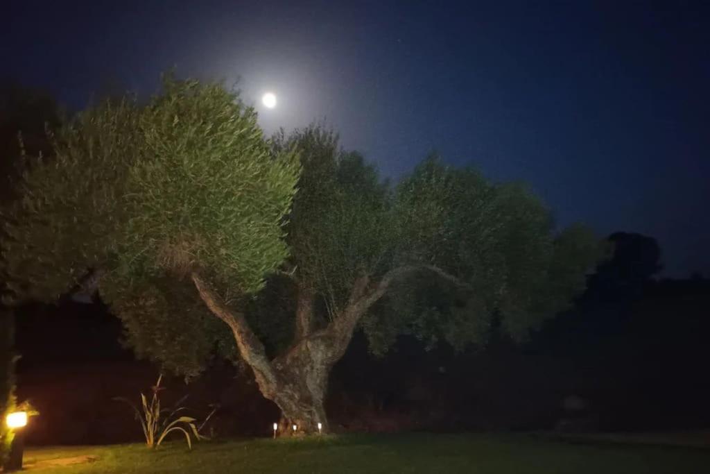 Casa Los Olivos 아르코스델라프론테라 외부 사진